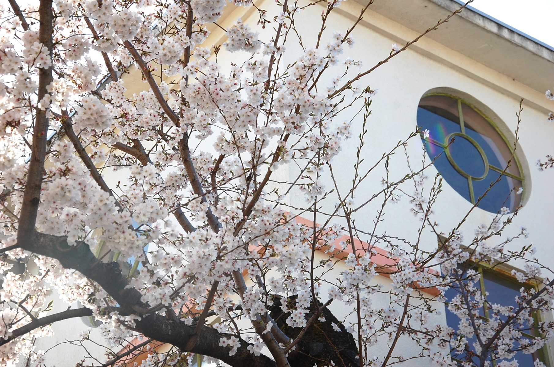 未記入　家庭保育園 MAILING COURSE 25〜36か月目　12ヶ月分 2027年度入園に関するスケジュールについて - めぐみ幼稚園 公式サイト